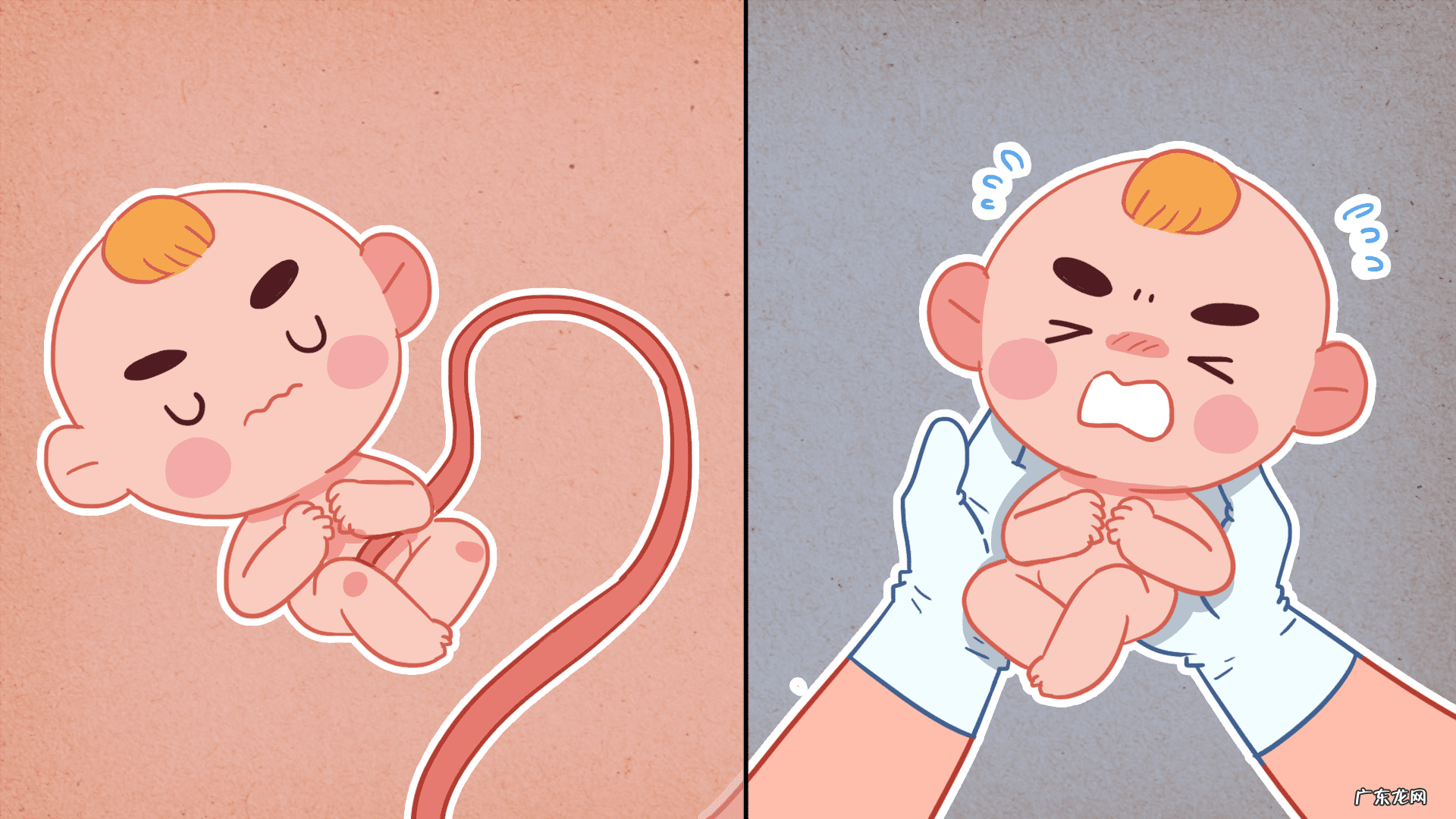 妊娠合并梅毒诊疗指南2020 妊娠合并梅毒是什么意思