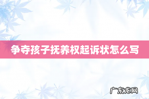 争夺孩子抚养权起诉状怎么写