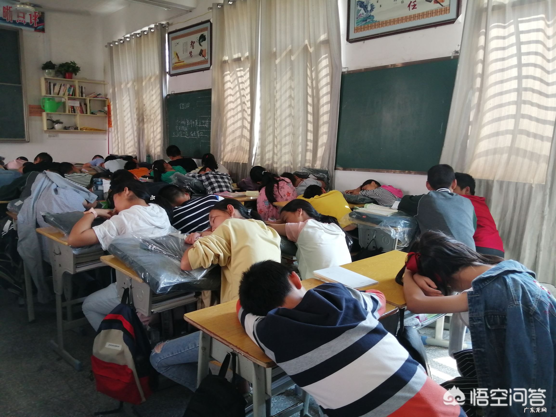 学生中午留校休息,学校安排家长轮流值日,家长意见非常大,你怎么看?