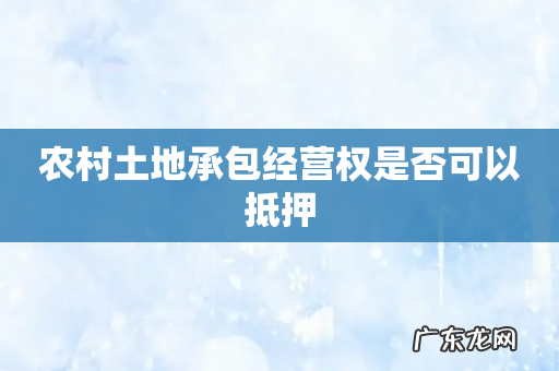 农村土地承包经营权是否可以抵押