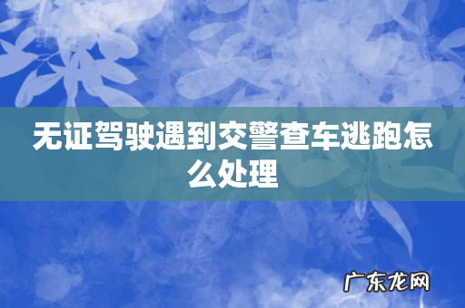 无证驾驶遇到交警查车逃跑怎么处理