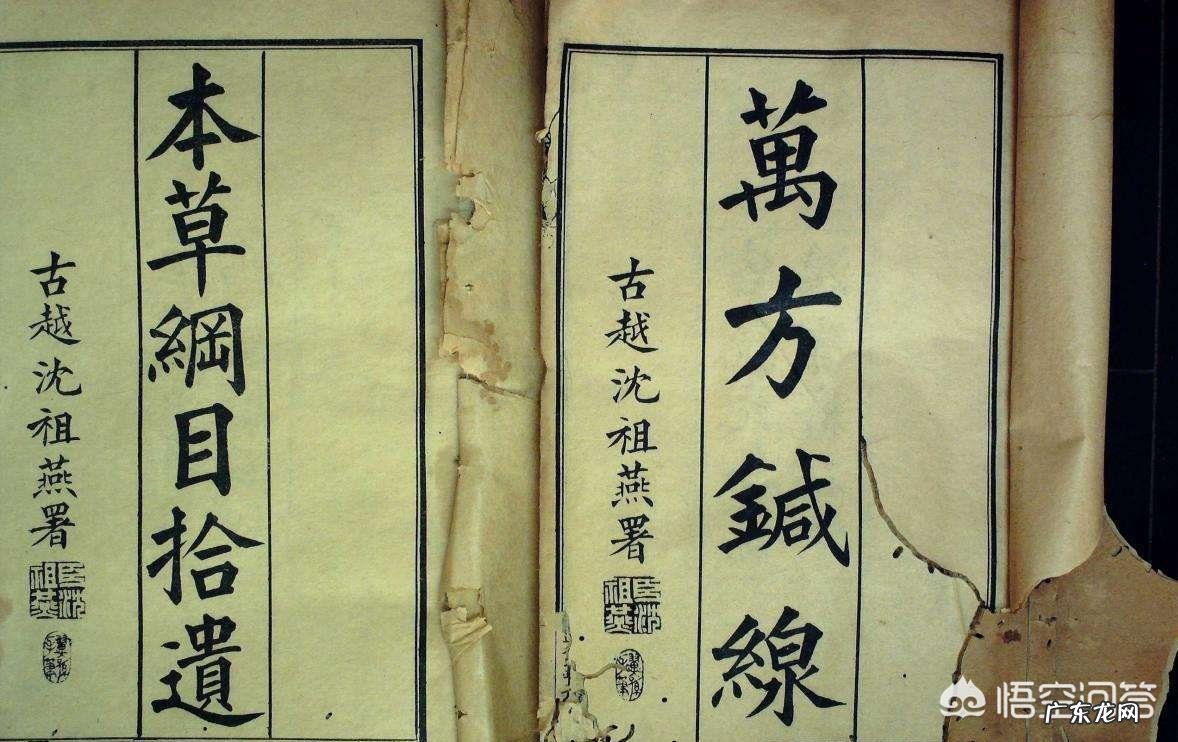 海南黄花梨是梨树吗?有什么用途?