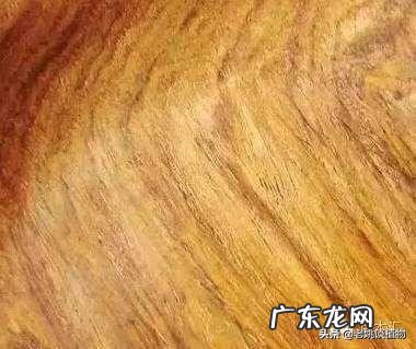 海南黄花梨是梨树吗?有什么用途?