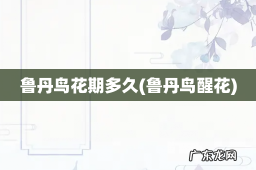 鲁丹鸟醒花 鲁丹鸟花期多久