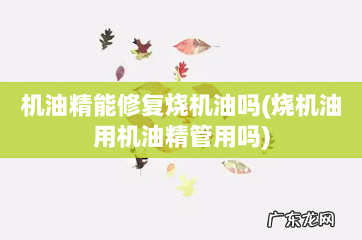 烧机油用机油精管用吗 机油精能修复烧机油吗