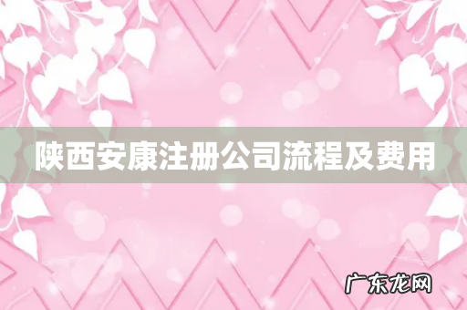陕西安康注册公司流程及费用