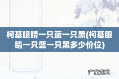 柯基眼睛一只蓝一只黑多少价位 柯基眼睛一只蓝一只黑