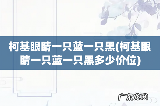 柯基眼睛一只蓝一只黑多少价位 柯基眼睛一只蓝一只黑