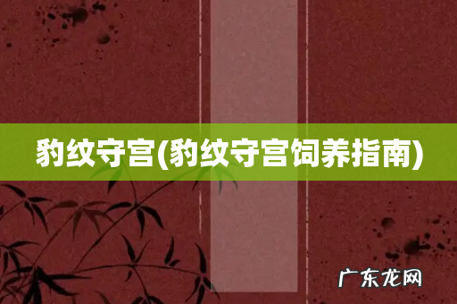 豹纹守宫饲养指南 豹纹守宫