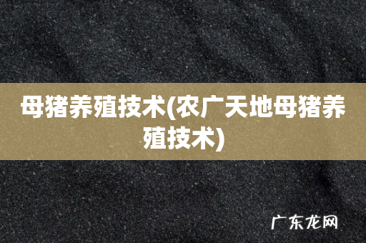 农广天地母猪养殖技术 母猪养殖技术
