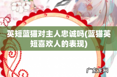 蓝猫英短喜欢人的表现 英短蓝猫对主人忠诚吗