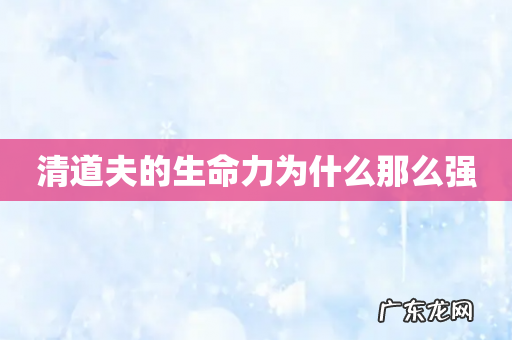 清道夫的生命力为什么那么强