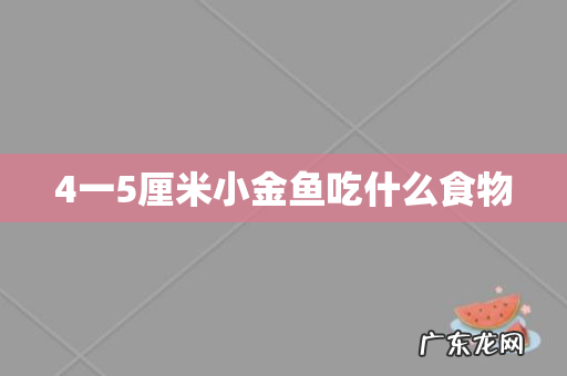 4一5厘米小金鱼吃什么食物