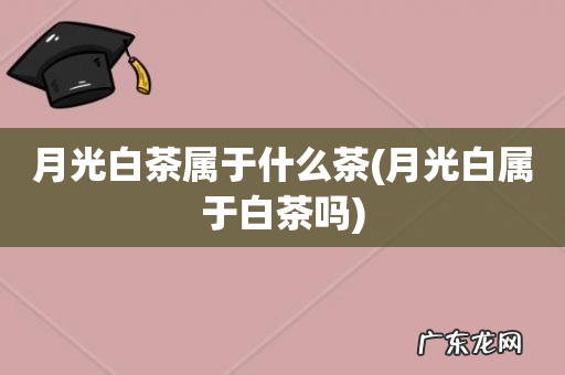 月光白属于白茶吗 月光白茶属于什么茶