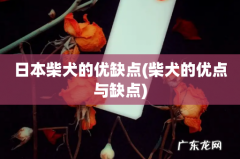 柴犬的优点与缺点 日本柴犬的优缺点