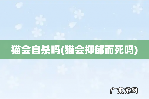 猫会抑郁而死吗 猫会自杀吗