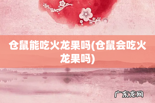 仓鼠会吃火龙果吗 仓鼠能吃火龙果吗