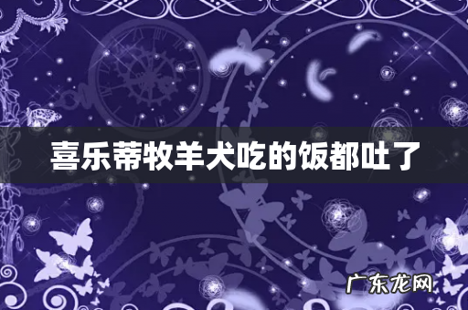 喜乐蒂牧羊犬吃的饭都吐了