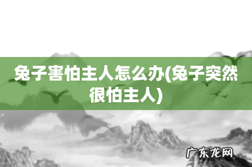 兔子突然很怕主人 兔子害怕主人怎么办