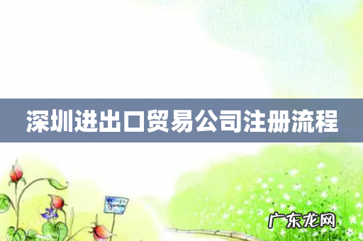 深圳进出口贸易公司注册流程