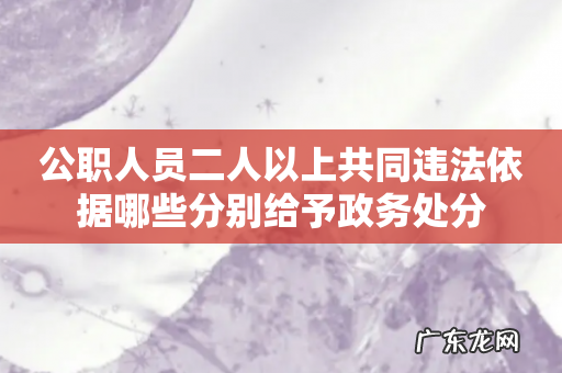 公职人员二人以上共同违法依据哪些分别给予政务处分