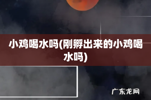 刚孵出来的小鸡喝水吗 小鸡喝水吗