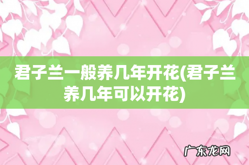 君子兰养几年可以开花 君子兰一般养几年开花