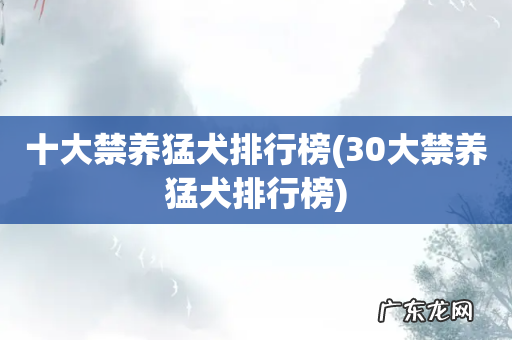 30大禁养猛犬排行榜 十大禁养猛犬排行榜