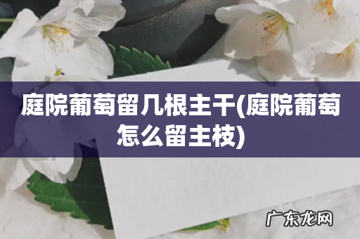 庭院葡萄怎么留主枝 庭院葡萄留几根主干
