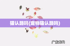 宠物猫认路吗 猫认路吗