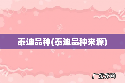 泰迪品种来源 泰迪品种