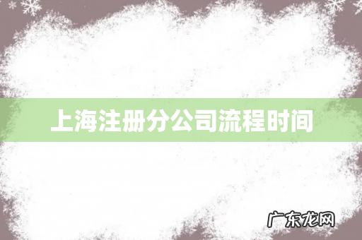 上海注册分公司流程时间