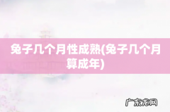 兔子几个月算成年 兔子几个月性成熟