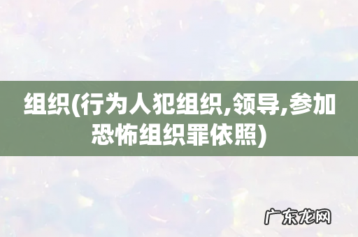 行为人犯组织,领导,参加恐怖组织罪依照 组织