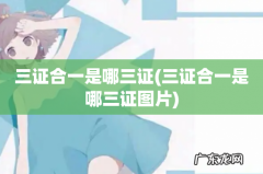 三证合一是哪三证图片 三证合一是哪三证
