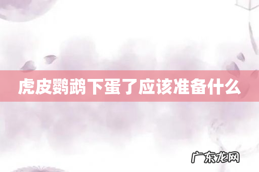 虎皮鹦鹉下蛋了应该准备什么