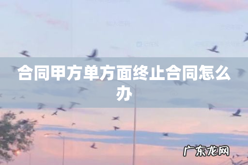 合同甲方单方面终止合同怎么办