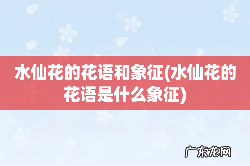 水仙花的花语是什么象征 水仙花的花语和象征