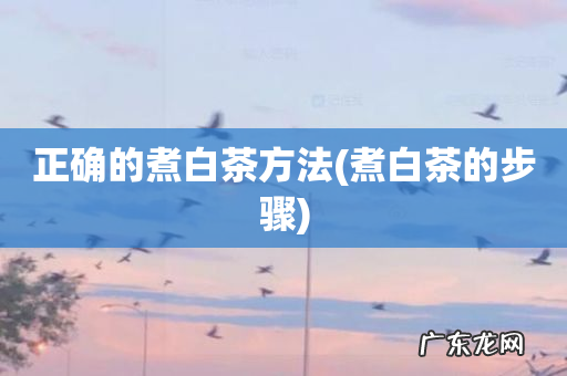 煮白茶的步骤 正确的煮白茶方法