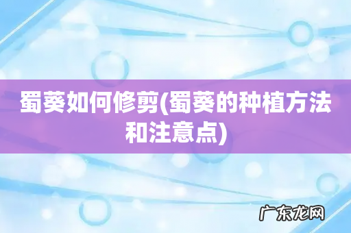 蜀葵的种植方法和注意点 蜀葵如何修剪