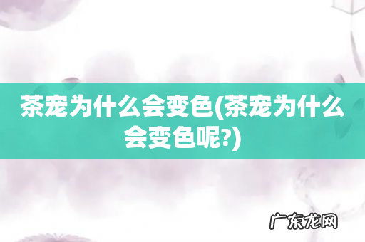 茶宠为什么会变色呢? 茶宠为什么会变色