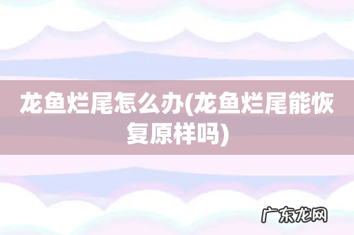 龙鱼烂尾能恢复原样吗 龙鱼烂尾怎么办