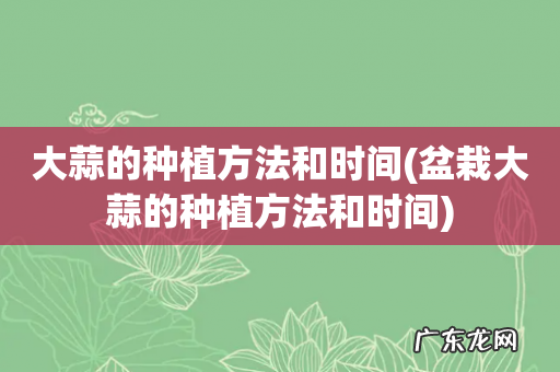 盆栽大蒜的种植方法和时间 大蒜的种植方法和时间