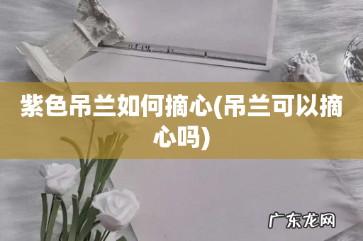 吊兰可以摘心吗 紫色吊兰如何摘心