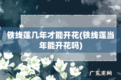 铁线莲当年能开花吗 铁线莲几年才能开花