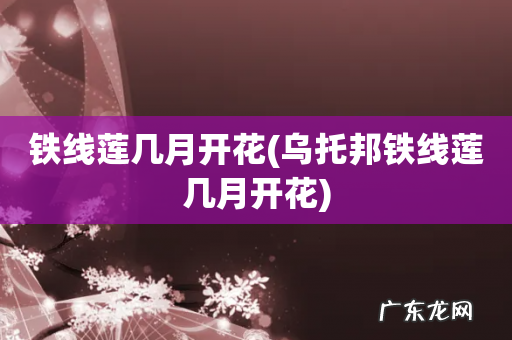 乌托邦铁线莲几月开花 铁线莲几月开花