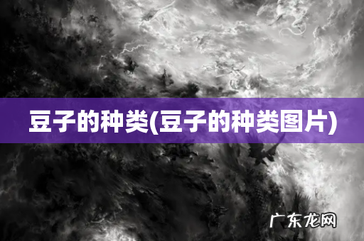 豆子的种类图片 豆子的种类