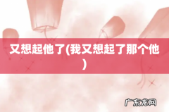 我又想起了那个他 又想起他了