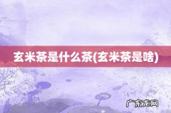 玄米茶是啥 玄米茶是什么茶