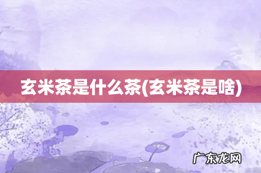 玄米茶是啥 玄米茶是什么茶